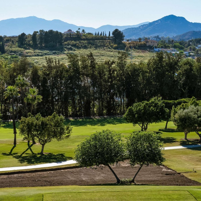 Modern 5 Bedroom Frontline Golf Villa in Los Naranjos, Nueva Andalucia | Image 28