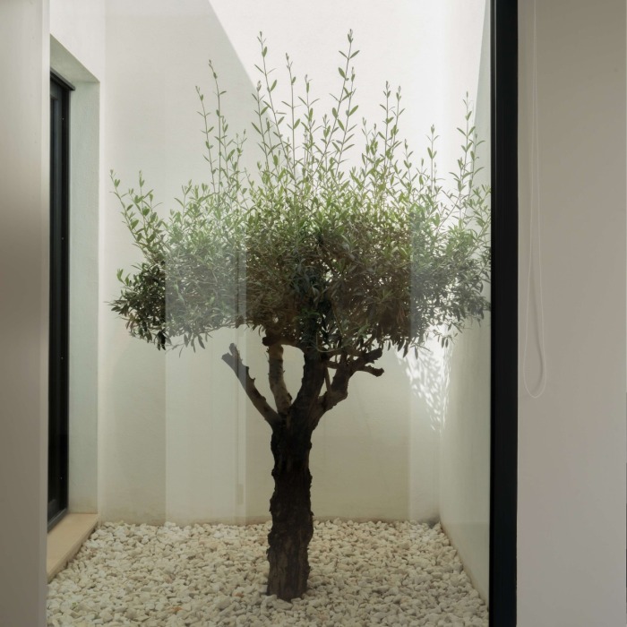 Elegant Contemporary Villa in Valle Romano | Image 44