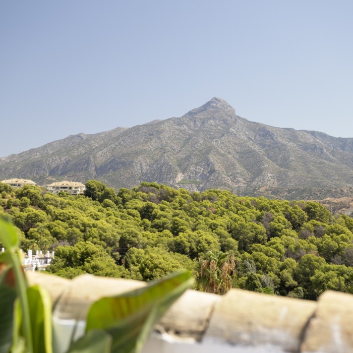 Sensational 4-bedroom, 4-bathroom townhouse in the heart of Aloha, Nueva Andalucía | Image 2