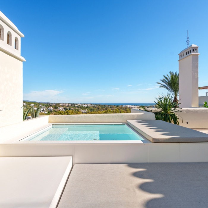 Duplex Penthouse in Los Belvederes, Nueva Andalucia | Image 12